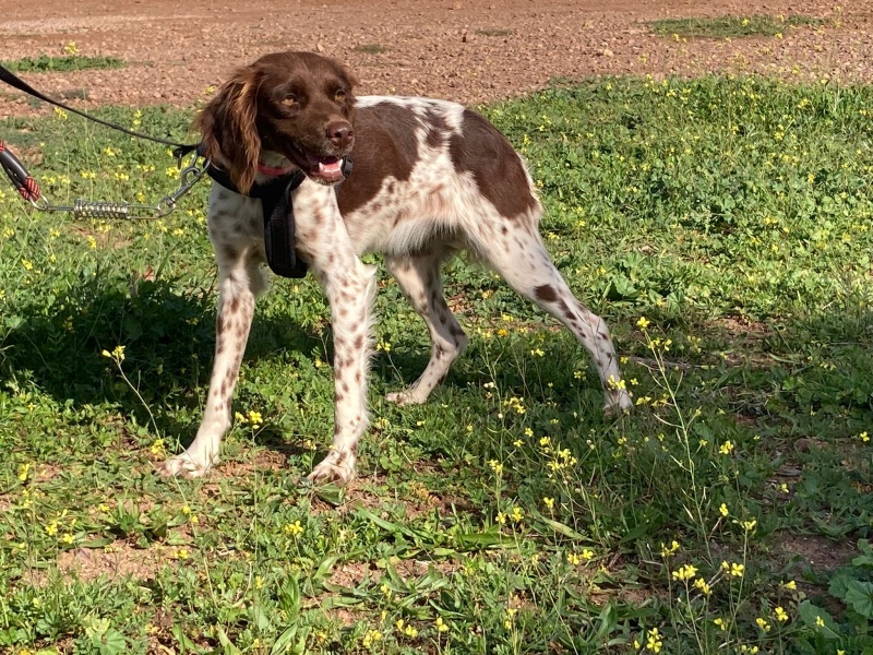 Foto Lana