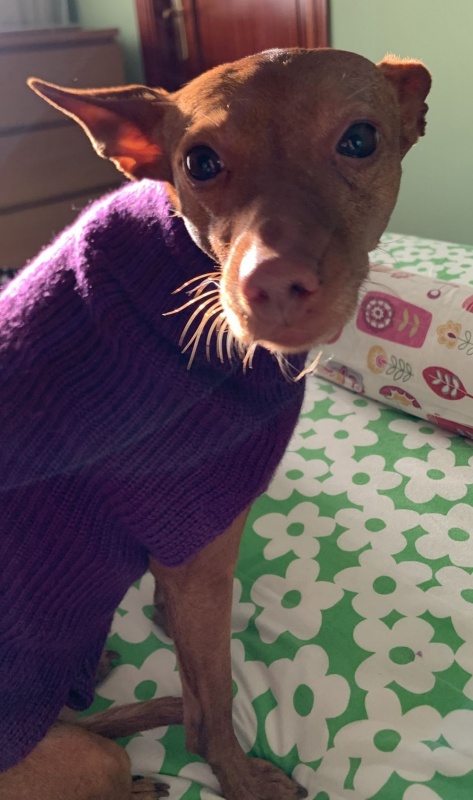 Foto Luna