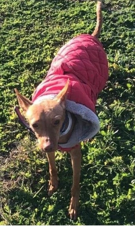 Foto Luna