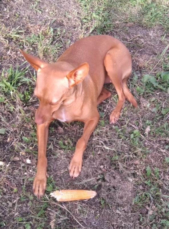 Foto Luna