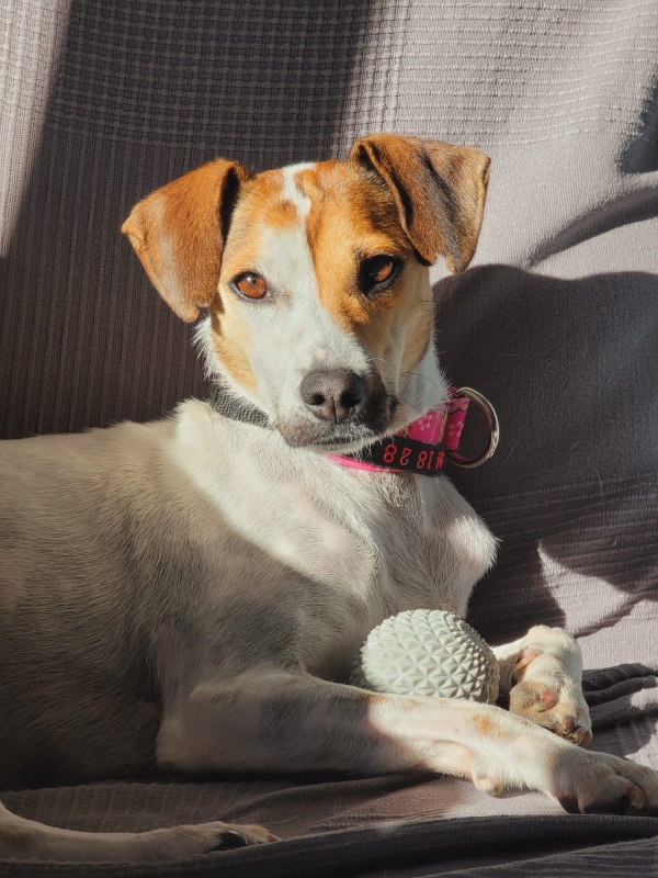 Foto Maya
