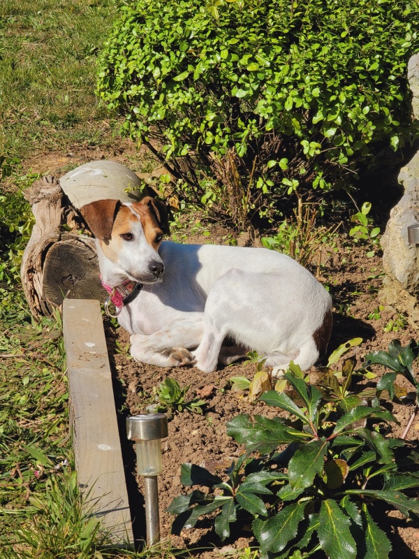 Foto Maya