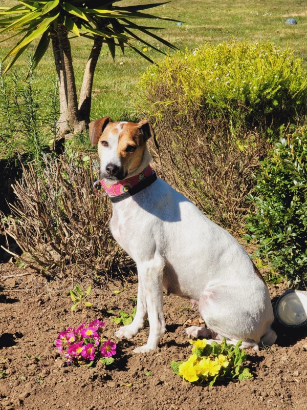 Foto Maya