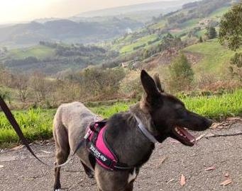 Foto Lola