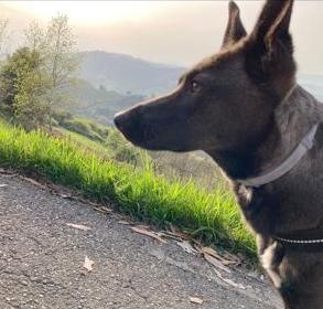 Foto Lola