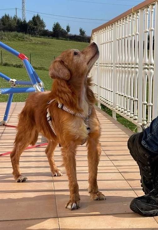 Foto Pan