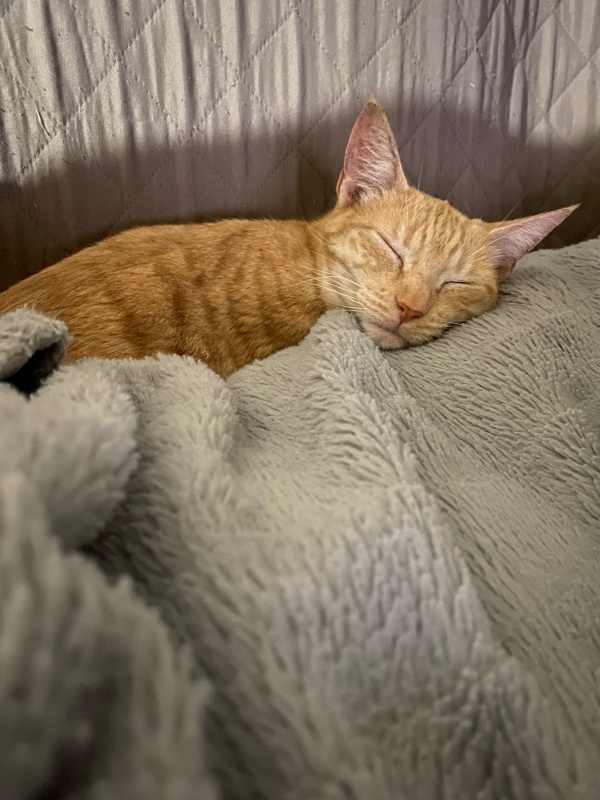 Foto Nina