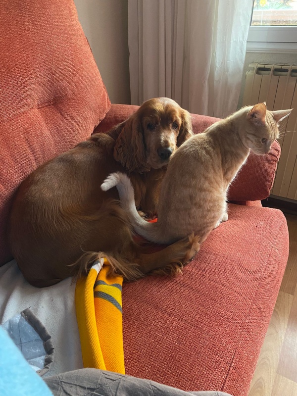 Foto Nina