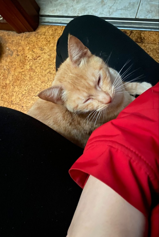 Foto Nina