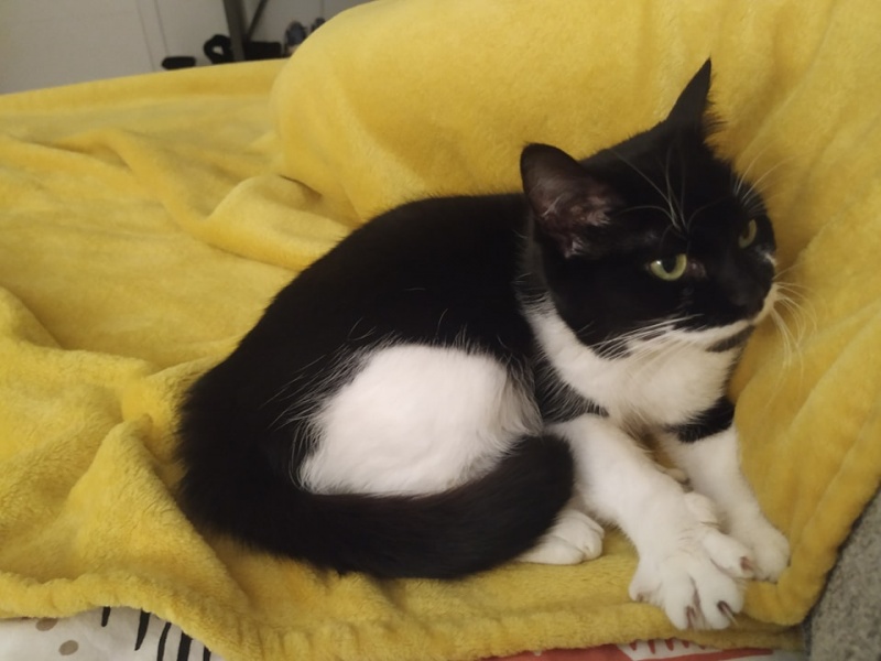 Foto Bimba
