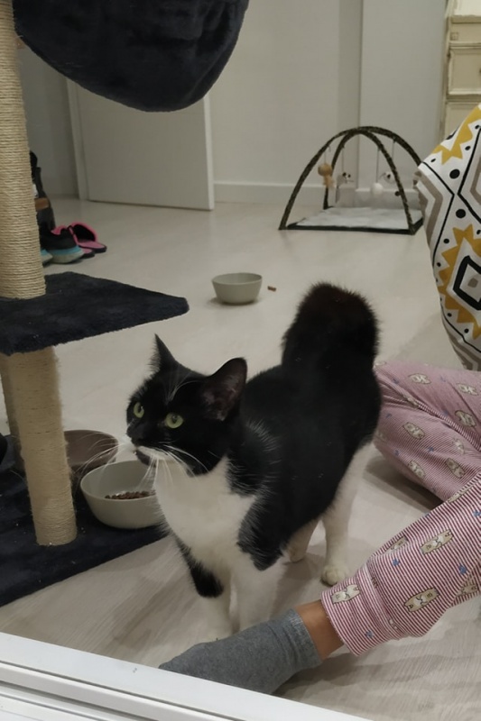 Foto Bimba