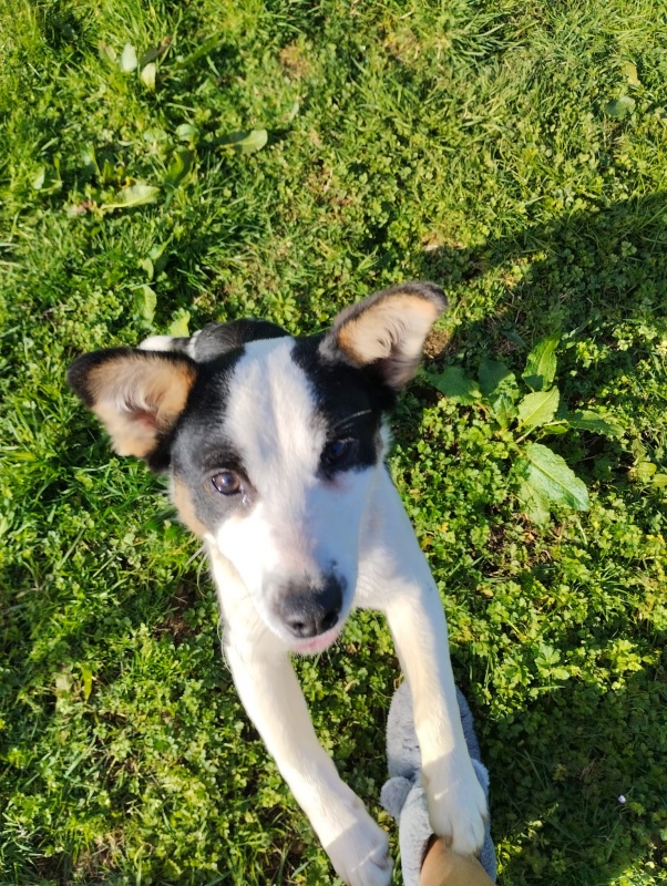 Foto Peque