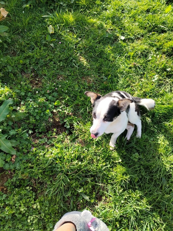 Foto Peque