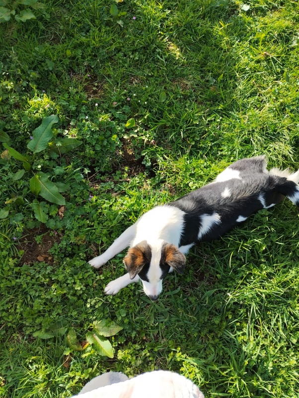 Foto Peque
