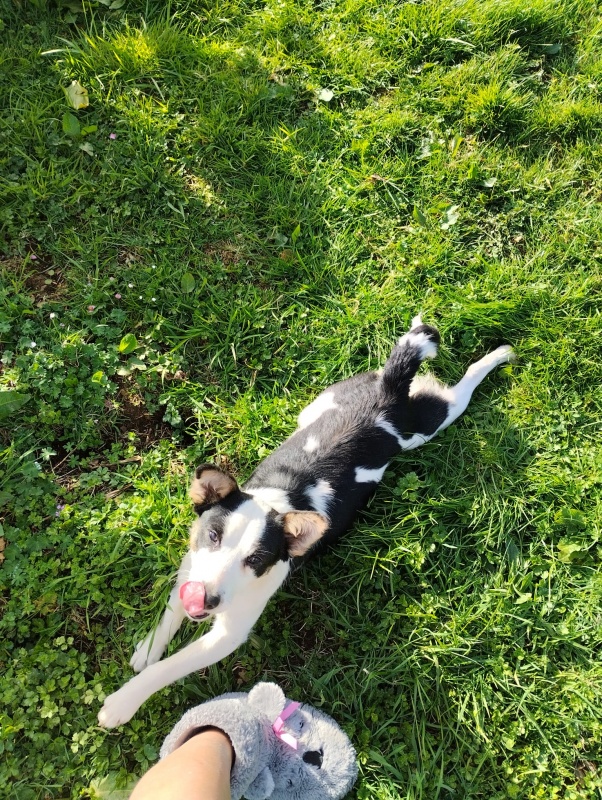 Foto Peque