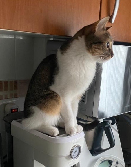 Foto Mia