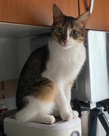 Foto Mia