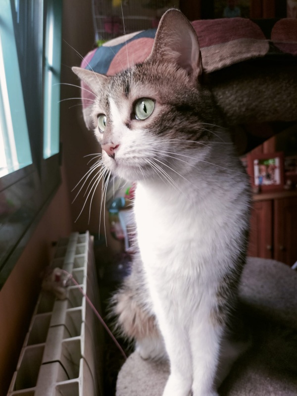 Foto Mia