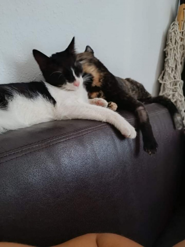 Foto Kros
