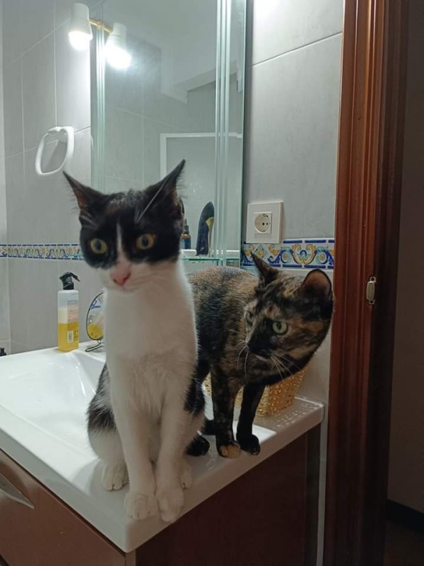 Foto Kros