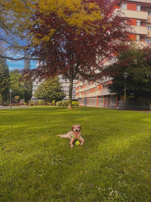 Foto Dama
