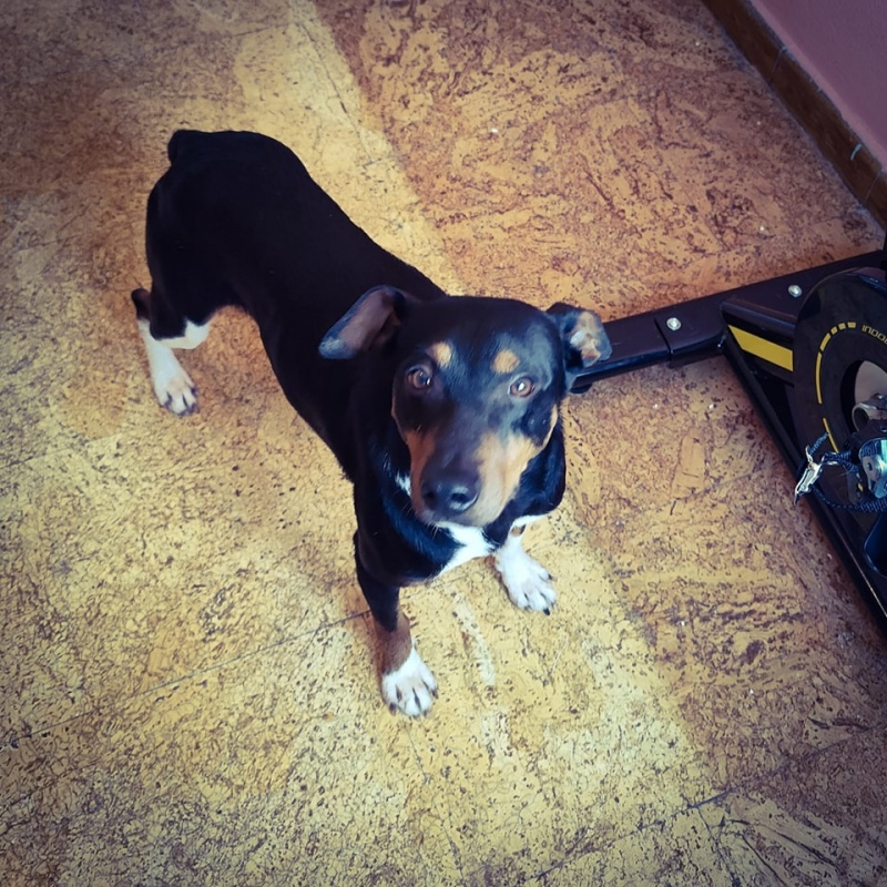 Foto Pedro