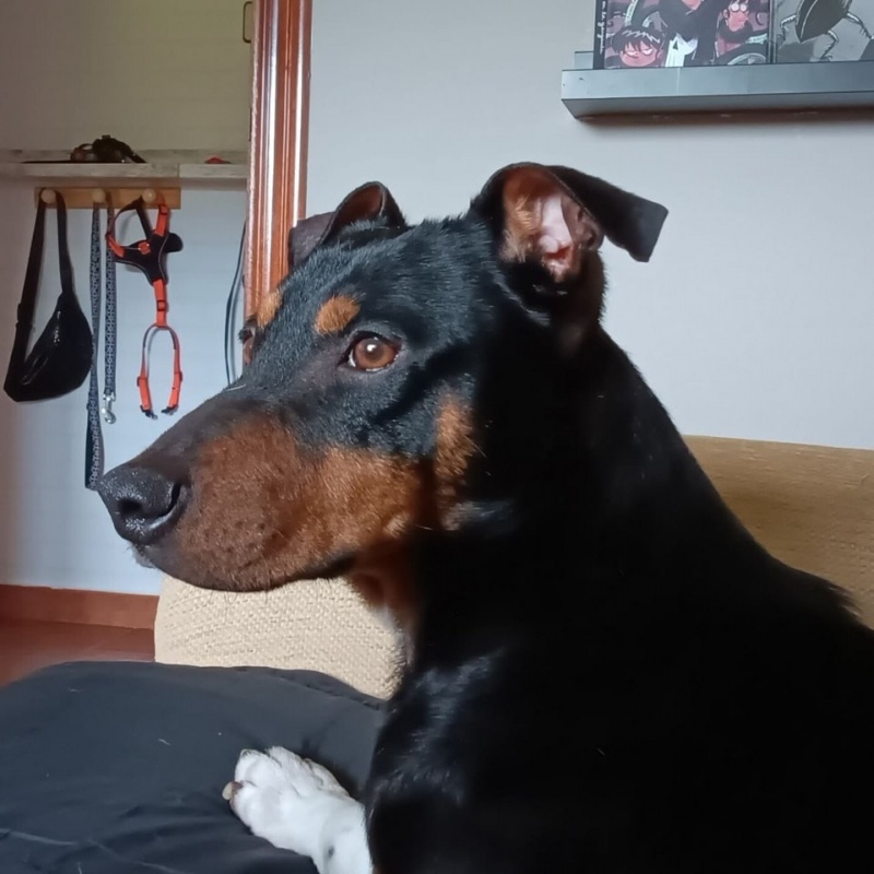 Foto Pedro