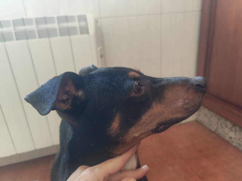 Foto Pedro