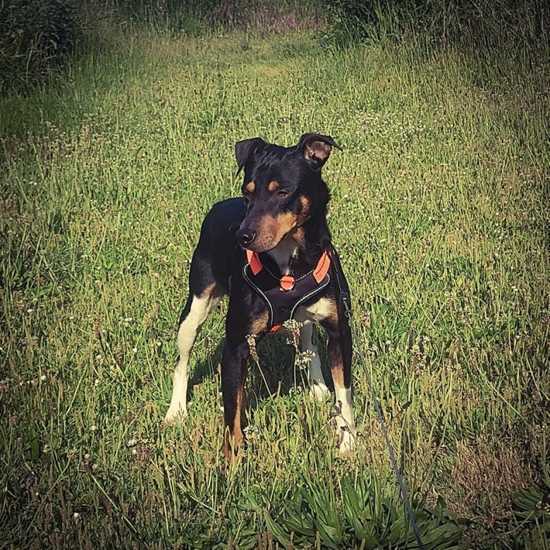 Foto Pedro
