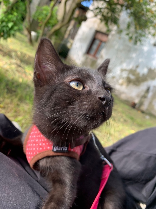 Foto Umti