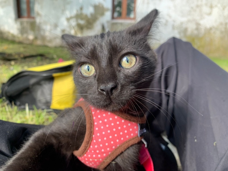 Foto Umti