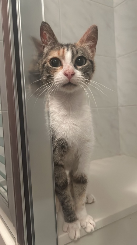 Foto Giuliana