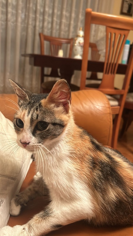 Foto Giuliana