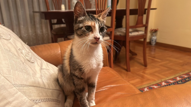 Foto Giuliana