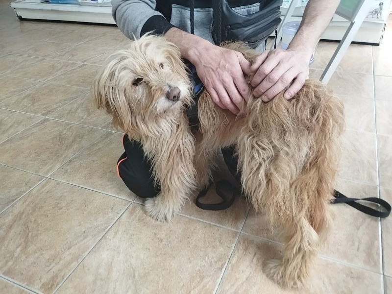 Foto Peluso