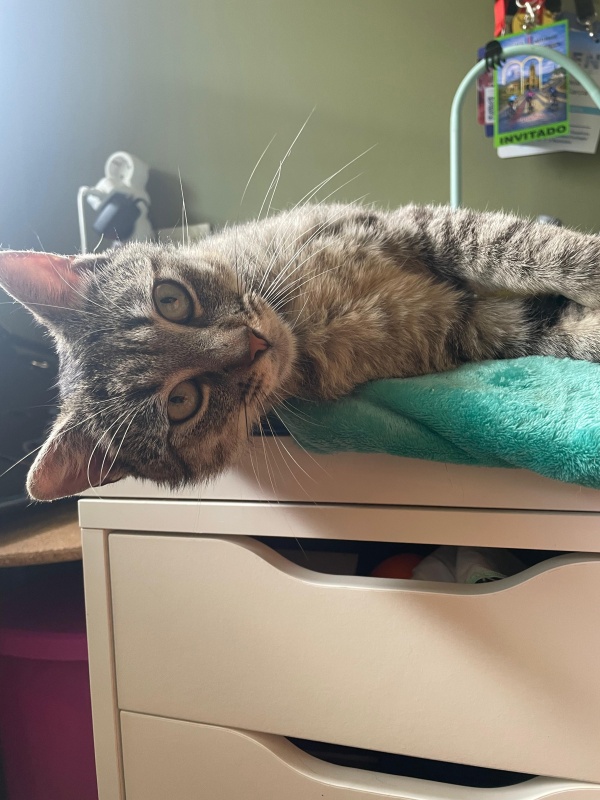 Foto Dante 