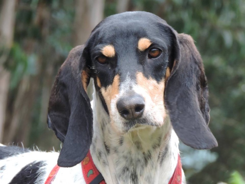 Foto Julieta