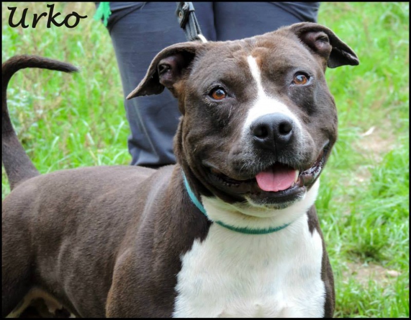 Foto Urko