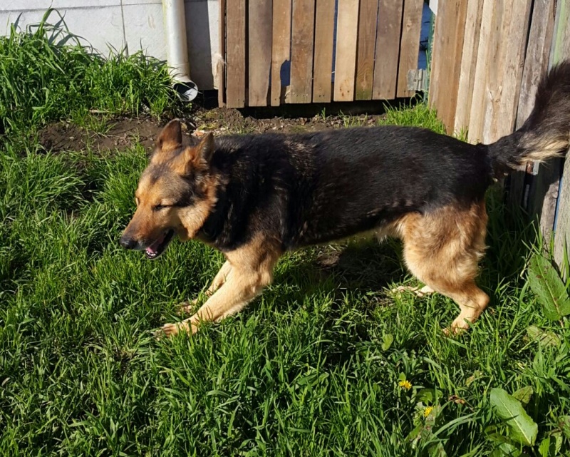 Foto Virtu