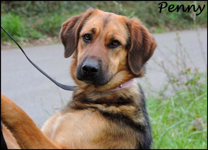Foto Penny