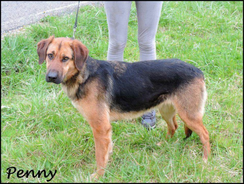 Foto Penny