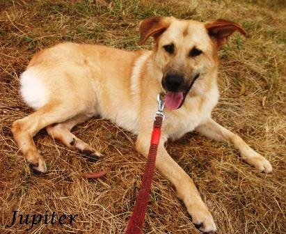 Foto Jupiter