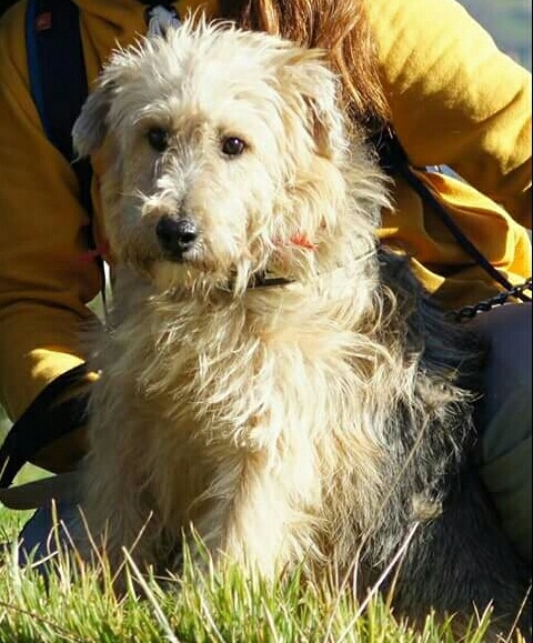 Foto Remo
