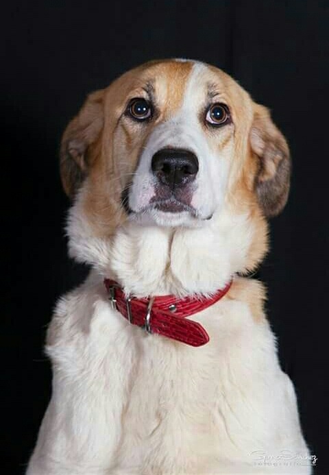 Foto Gaia