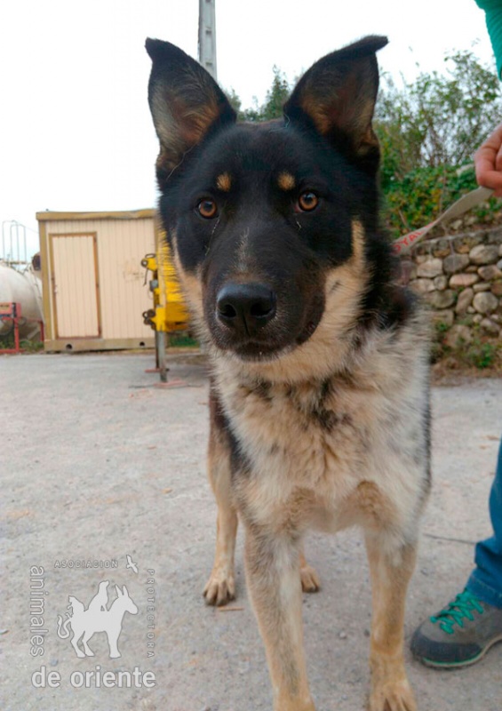Foto Charcu