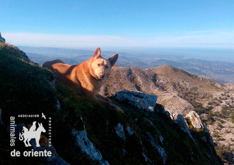Foto Monty