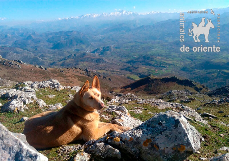 Foto Monty