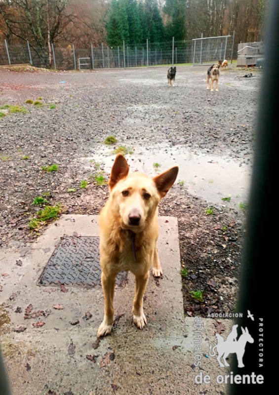 Foto Monty