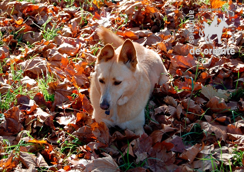 Foto Monty