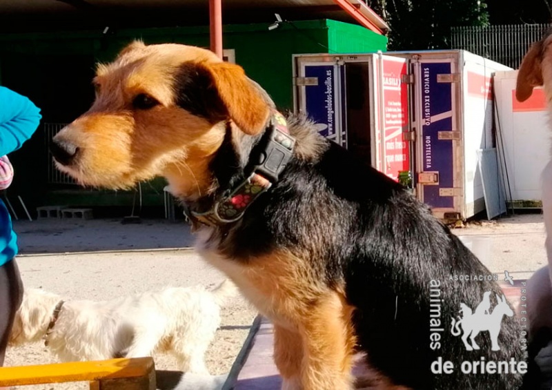 Foto Noa